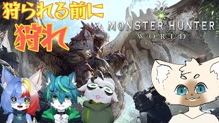 【ねごのく】モフモフがもふもふについて語るモンハン　#MonsterHunterWarld