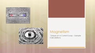 Advanced Physics 9.3b - Magnetism - Torque on a Current Loop, e to m ratio - Sample Calculations