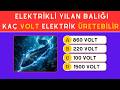 Bu Genel Kültür Testinden Kaç Doğru Yapabileceksin ?