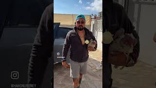 Organik yumurta pahalanınca biz 😁😎 #almanya #hollanda #turkey #tavuk #yumurta