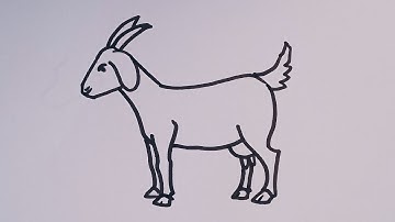 How to draw a Goat 🐐 Easy step by step