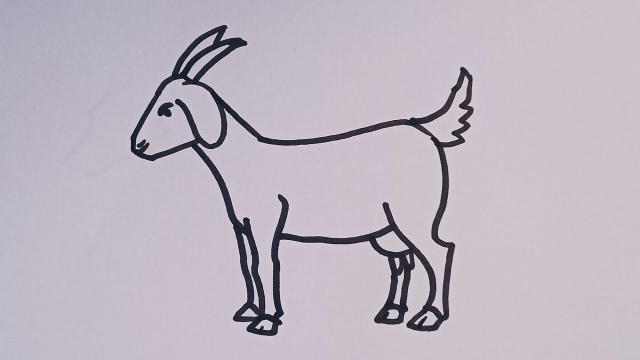 Goat Drawing Vector Art, Icons, and Graphics for Free Download