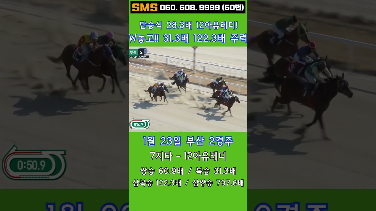1/23(금)💣31.3배 주력! 삼복승 122.3배! 쇼도리! 단승식만 28.3배! 인기7위 12아유레디 놓고!  / 믿어지십니까? 이런게 한구라입니다. 🐎 인기1위에 쫄지마!