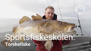 Sportsfiskeskolen | Torskefiske