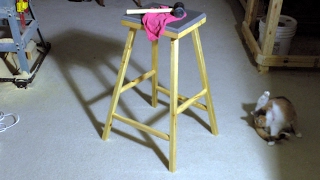 Today we build a shop stool out of 2x4