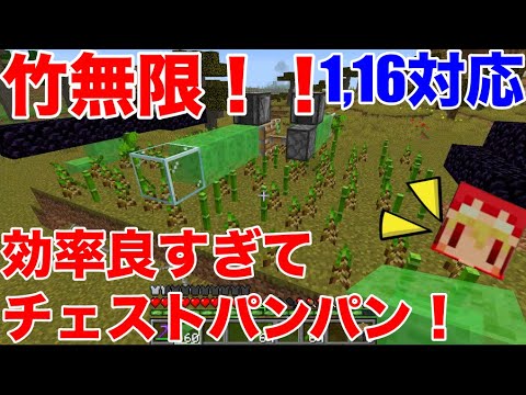 野菜交易楽々屋台 オシャレな飲食店できちゃった マイクラ 超初心者minecraft ソラクラ 35 Youtube