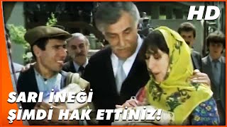 Sarı Öküz Parası | Ayşe ile Bilo'nun Düğün Hediyesi | Türk Komedi Filmi