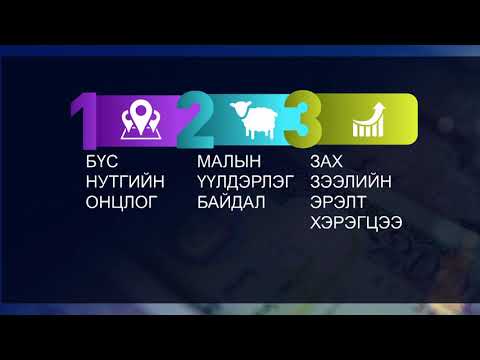 Видео: Бэлчээрийн мал аж ахуй эрхлэгчийг хэрхэн яаж гаргах вэ