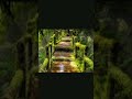 Responsive Image Slider HTML CSS | Simple Slideshow