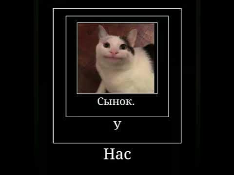 мем про белуга#1 - YouTube