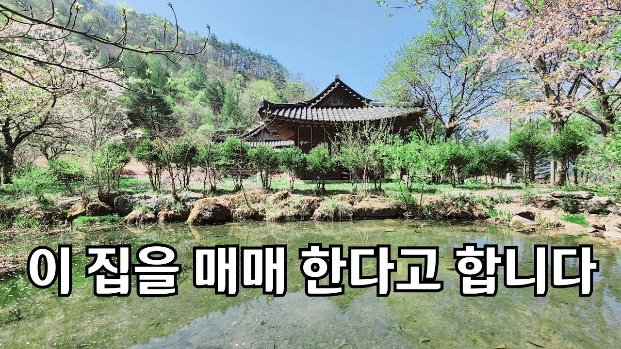 강원 정선읍 // 주인직접매매 합니다   an empty house mountain village Korea 🇰🇷 ♥️