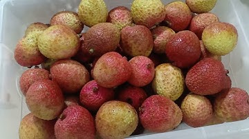 CÁCH BẢO QUẢN VẢI TƯƠI LÂU HIỆU QUẢ.