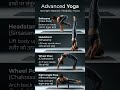 Advanced yoga🔥 daily#advancedyoga #yogachallenge #bakasana #sirsasana #shorts #fitness #viral