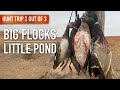 Duck Hunting: Huge Flocks on a Private Pond