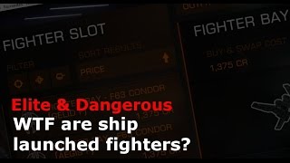 WTF are ship launched fighters (Elite Dangerous)