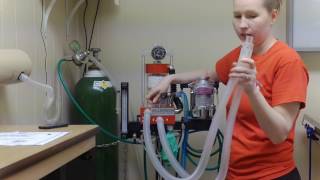 VETT 221 Task 1  Prepare Anesthesia Machine