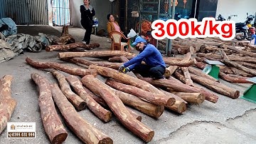 "NGÃ NGỬA" VỚI GIÁ GỖ TRẮC TẠI CHỢ GỖ LỚN NHẤT MIỀN BẮC - PHÙ KHÊ TỪ SƠN BẮC NINH | ĐỒ GỖ MIỀN BẮC