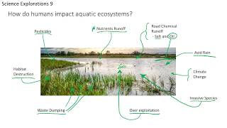 3   Aquatic Ecosystems and Human Impacts