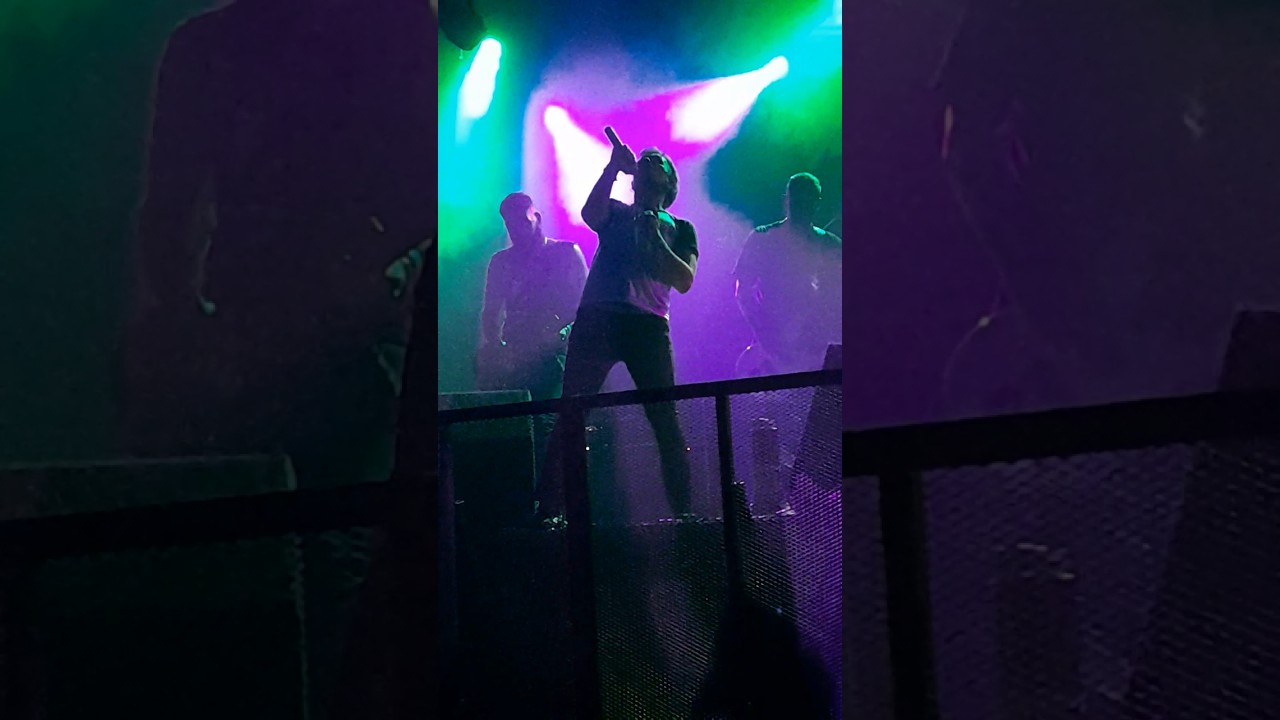 Los Bronson Rock Capsulas del 2024 