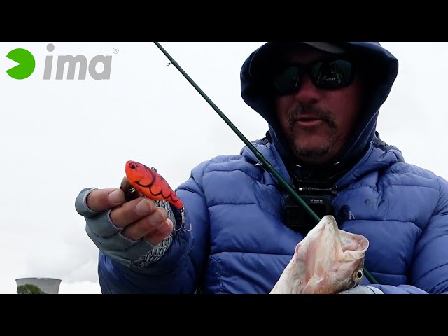 Ima Suspending Vibe 70 Crankbait Senza Labbra - Scegli Il Colore!