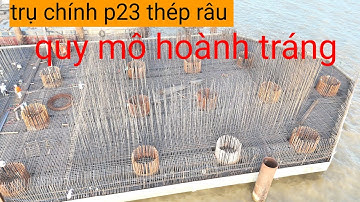 Trụ chính p23 lắp đặt thép lớp thứ 8 xong, lắp đặt thép râu được nhiều, cầu đại ngãi 1 