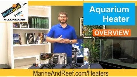 Heater Overview MarineAndReef.com