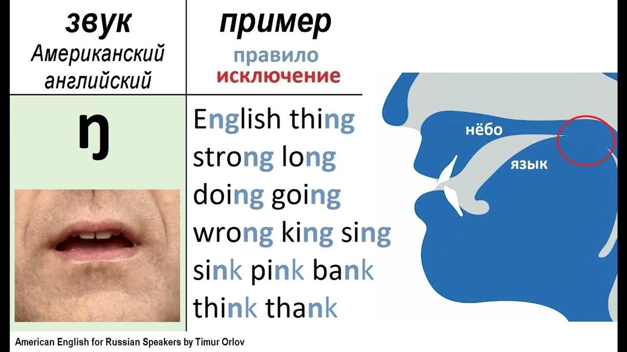 Как произносится ae. 4 типа чтения гласных в английском языке таблица. Как произносится ae. Как произносится ae. Звуки фонетической транскрипции английского языка.