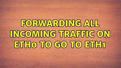 Forwarding all incoming traffic on eth0 to go to eth1