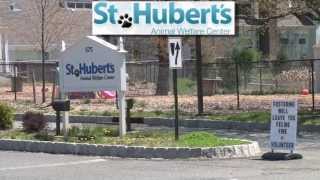 St Huberts PSA:  Virtual Tour