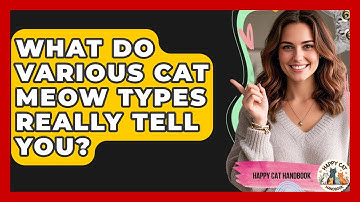 What Do Various Cat Meow Types Really Tell You? - Happy Cat Handbook