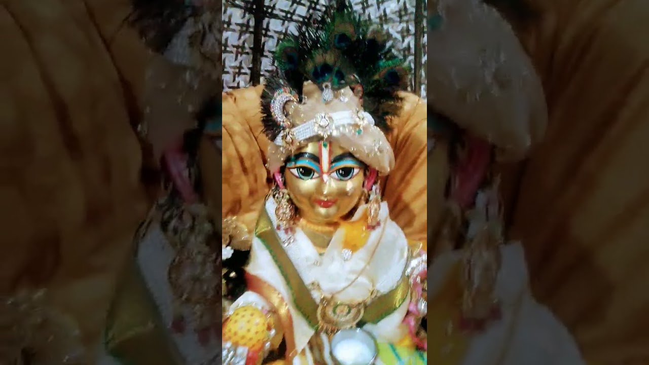 laddu gopal status 