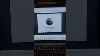 How to install macOS Catalina on VMware 🙃