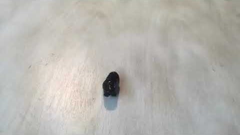 The Blob (Stop Motion Animation)