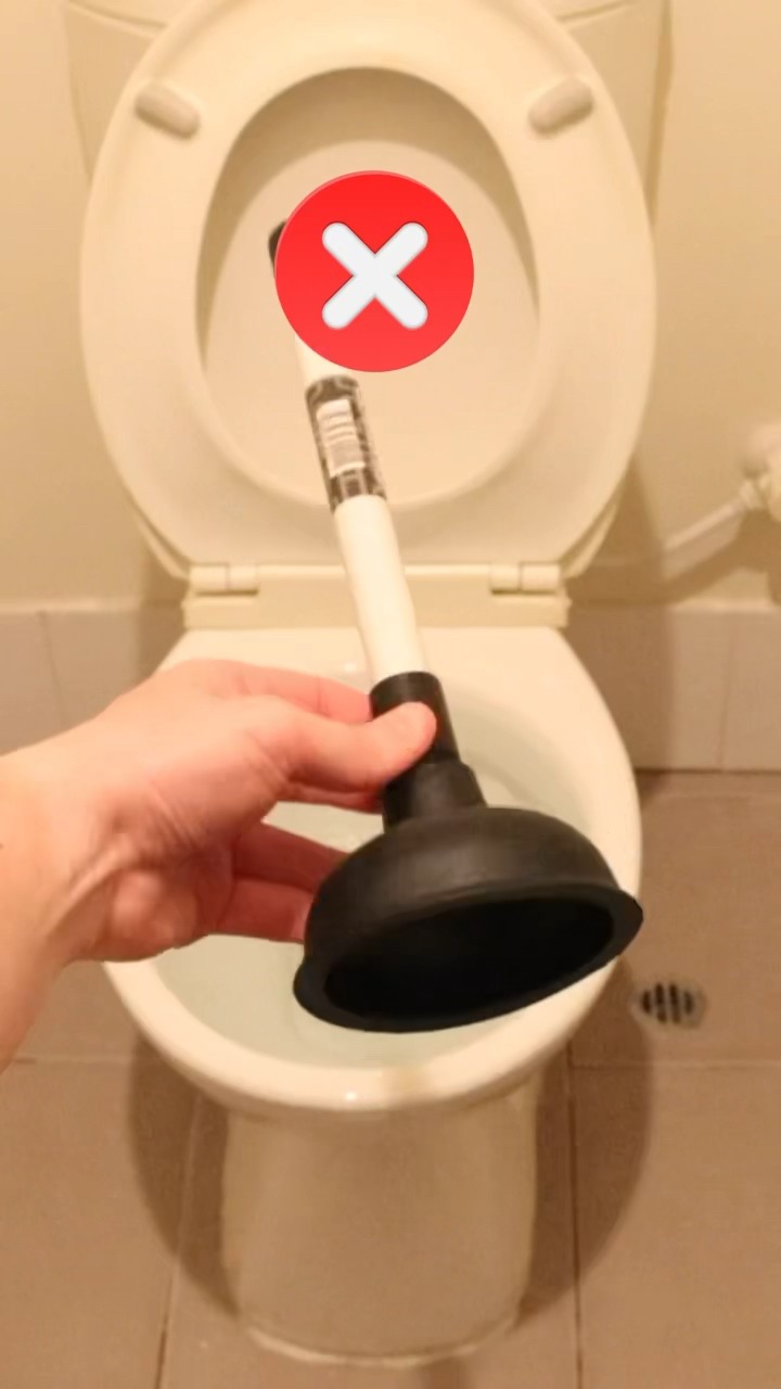 DIY blocked toilet fix