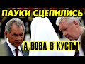 ПЕРЕДЕЛ ГОЛОДНЫХ РОССИЯН. ПУТИН, ШОЙГУ И СОБЯНИН ДЕРБАНЯТ ВЛАСТЬ