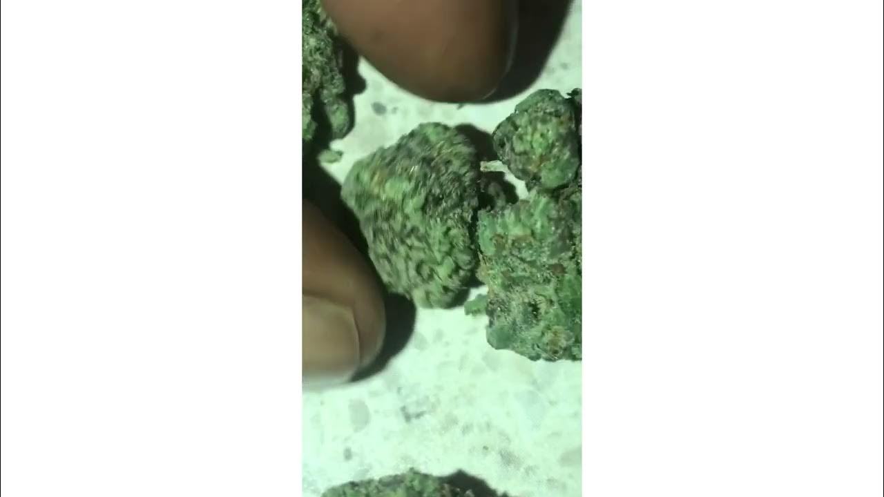 Banana Jealousy Cake Strain Review (Smk Brk 420) YouTube