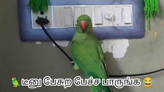 டீனு குட்டி கூண்டுல போட்டு அடைச்சுட்டேன்னு எப்படி பேசுறான் பாருங்க ||my talking parrot teenu kutty