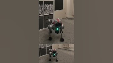 Quadruped Robot Dog Unitree Go2 - Sparky tells a German joke