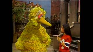 1360 - Hide-And-Seek With Snuffy