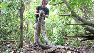 Surviving the GIANT SNAKE JUNGLE of BORNEO! Pt.4 by Miller Wilson 225,878 views 9 months ago 23 minutes