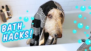 Goldendoodle gets a Bath! 💦 How to Bathe a Dog, + Fav Shampoo!