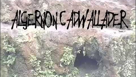 Algernon Cadwallader in Germany