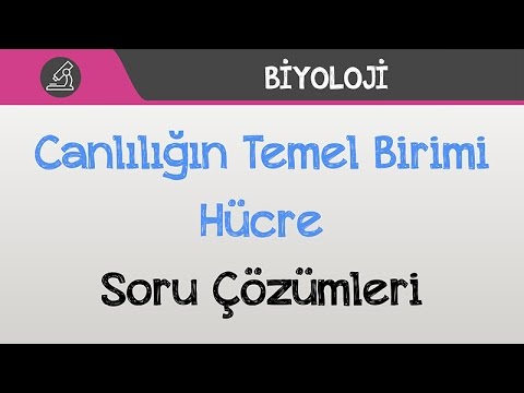 Canlılığın Temel Birimi Hücre - Soru Çözümleri