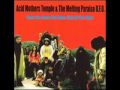 Acid Mothers Temple - Buy the Moon of Jupiter