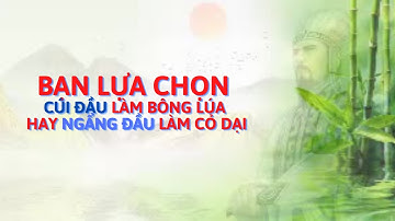 Bạn lựa chọn cúi đầu làm bông lúa hay ngẩng đầu làm cỏ dại