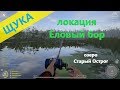 Русская рыбалка 4 - озеро Старый Острог - Щука с камня у брода