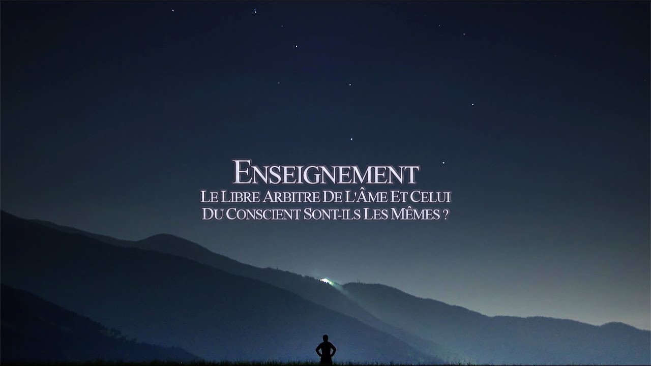 Enseignement 