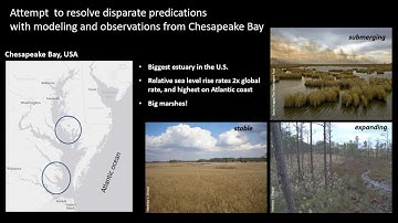 Marsh response to sea level rise examples from the Chesapeake and beyond