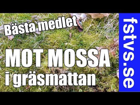 Video: Konstgjord Mossa: Hur Man Väljer Mossa För Vägg, Inredning Och Akvarium? Dekorativ Mossa I Inredningen