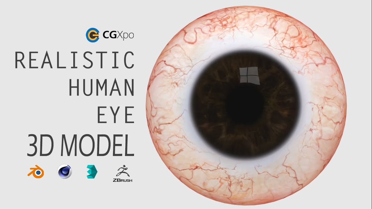 Realistic Human Eye 3D Model Review | CGXpo - YouTube